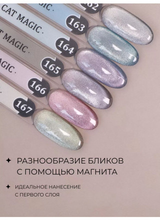 ALTA NIVELO   Гель-лак кошачий глаз   10мл   CAT MAGIC   #162