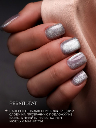 ALTA NIVELO   Гель-лак кошачий глаз   10мл   CAT MAGIC   #167